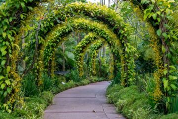 Landscape Architecture, Development & Maintenance