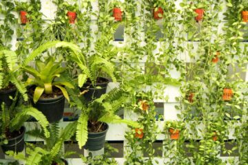 Vertical Gardening Services