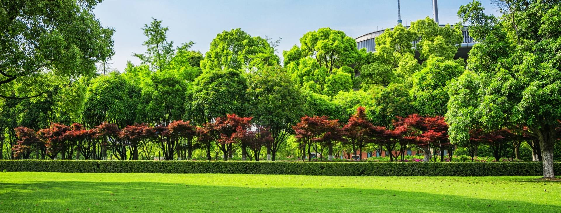 We work with city corporations<br />
to make green and clean city