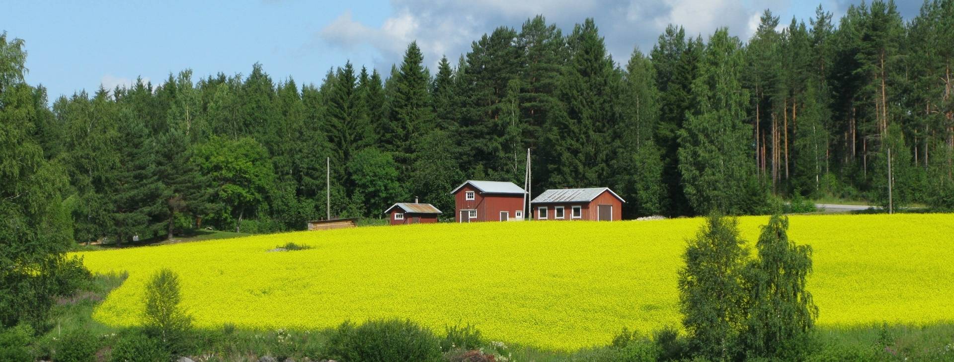 Let your garden bring more<br />
Pleasantness & Peacefulness 