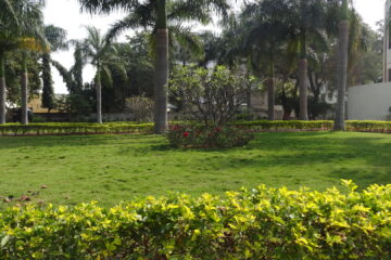 Park Development & Maintenance